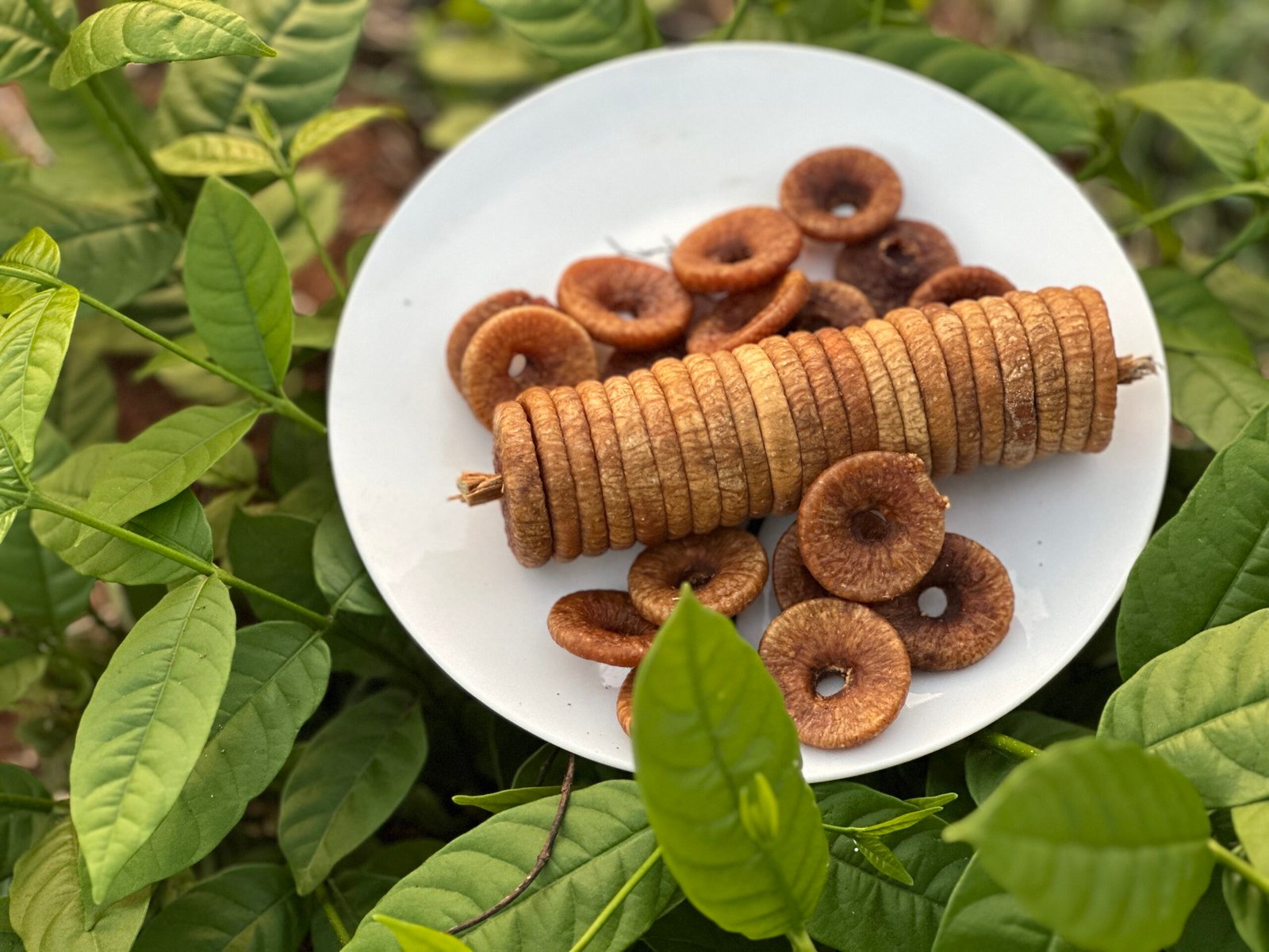 The Secret Behind Kandahari Dry Figs: Why They’re a Global Favorite